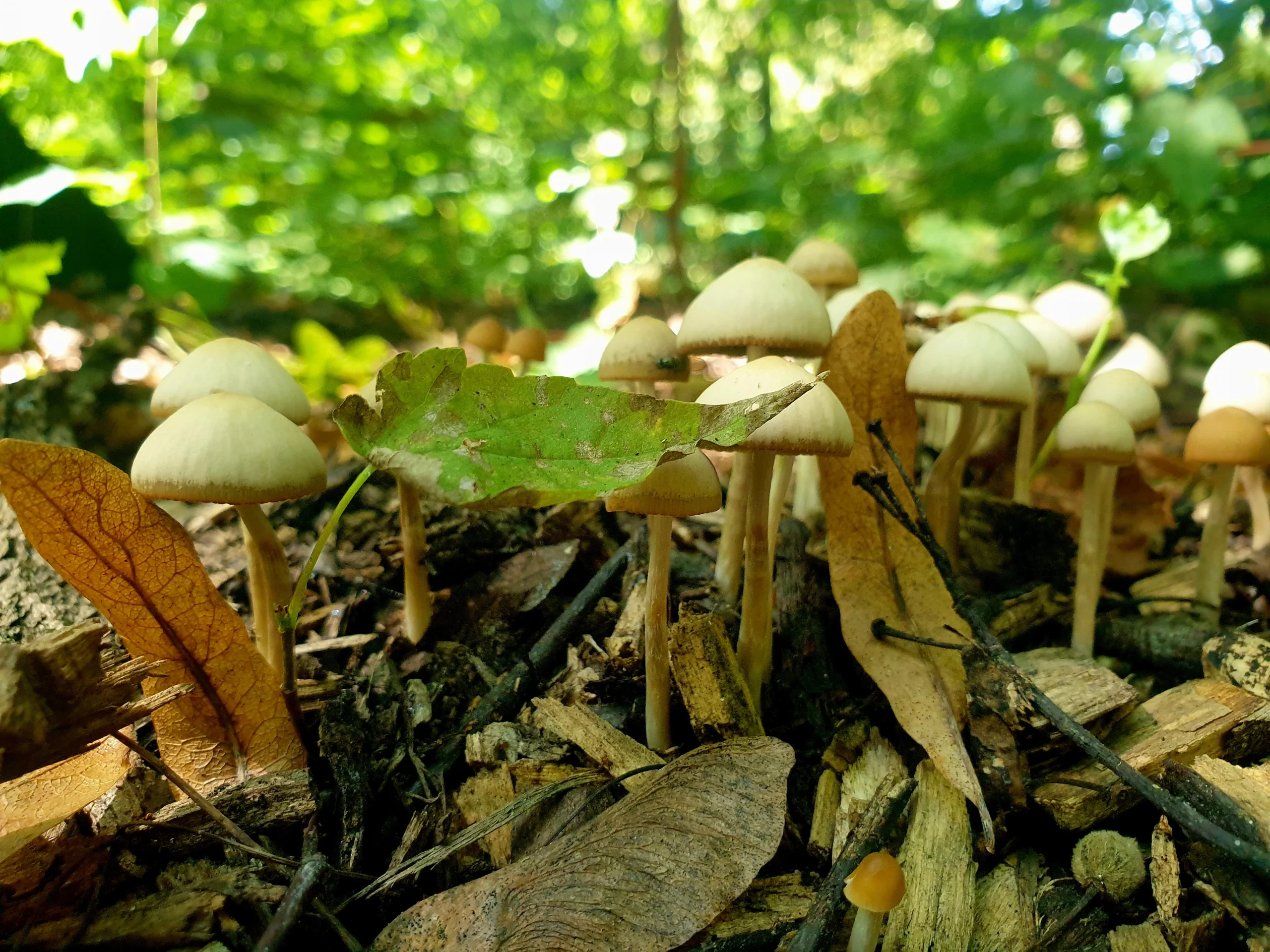 Read more about the article Co ma bigos do skuteczności sprzedaży?